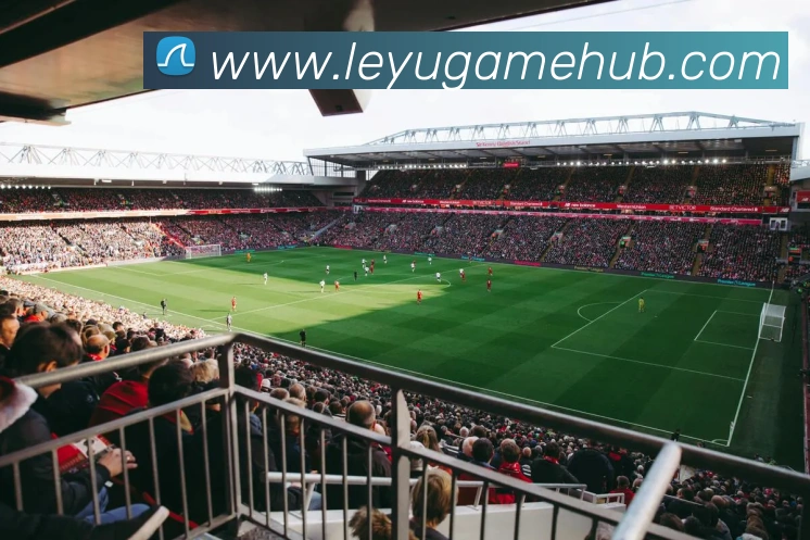 App Interface Preview