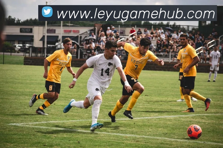 数据防护可视化